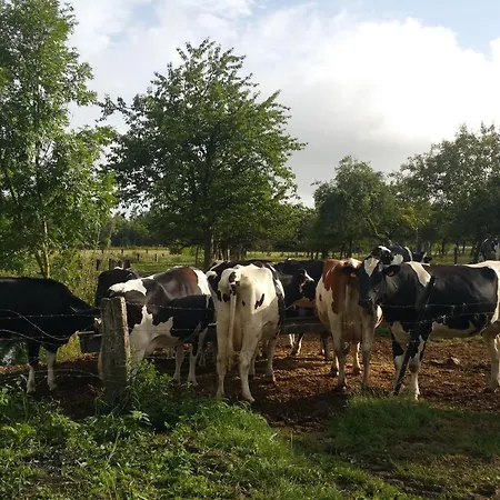 La Cense Pierrot Des Princes 招待所 圣阿芒·莱斯奥