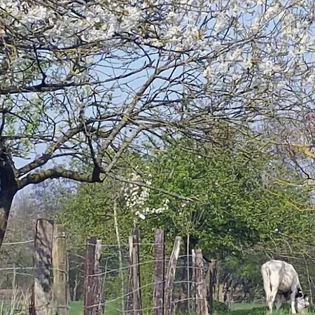 招待所 La Cense Pierrot Des Princes 圣阿芒·莱斯奥