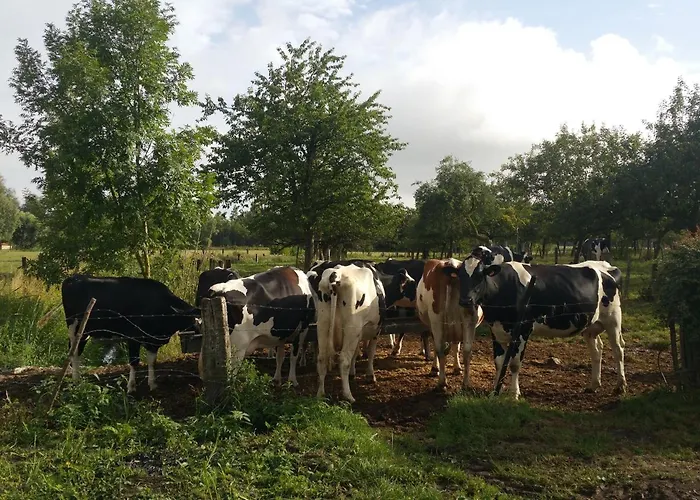 La Cense Pierrot Des Princes Maison d'hôtes Saint-Amand-les-Eaux