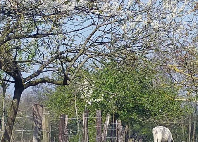 La Cense Pierrot Des Princes Guest house